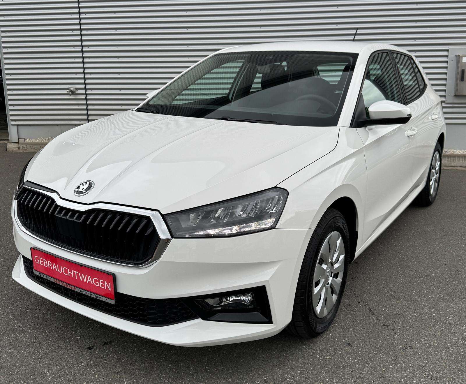 Fahrzeugbild eines Skoda Fabia