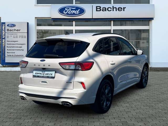 Fahrzeugbild eines Ford Kuga