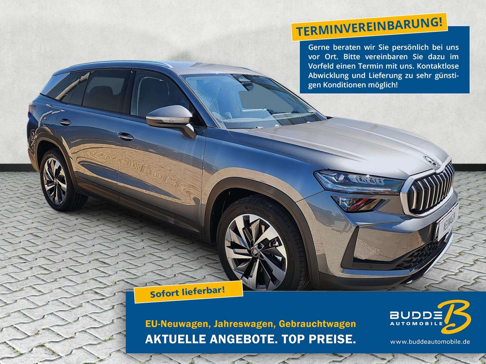 Fahrzeugbild eines Skoda Kodiaq