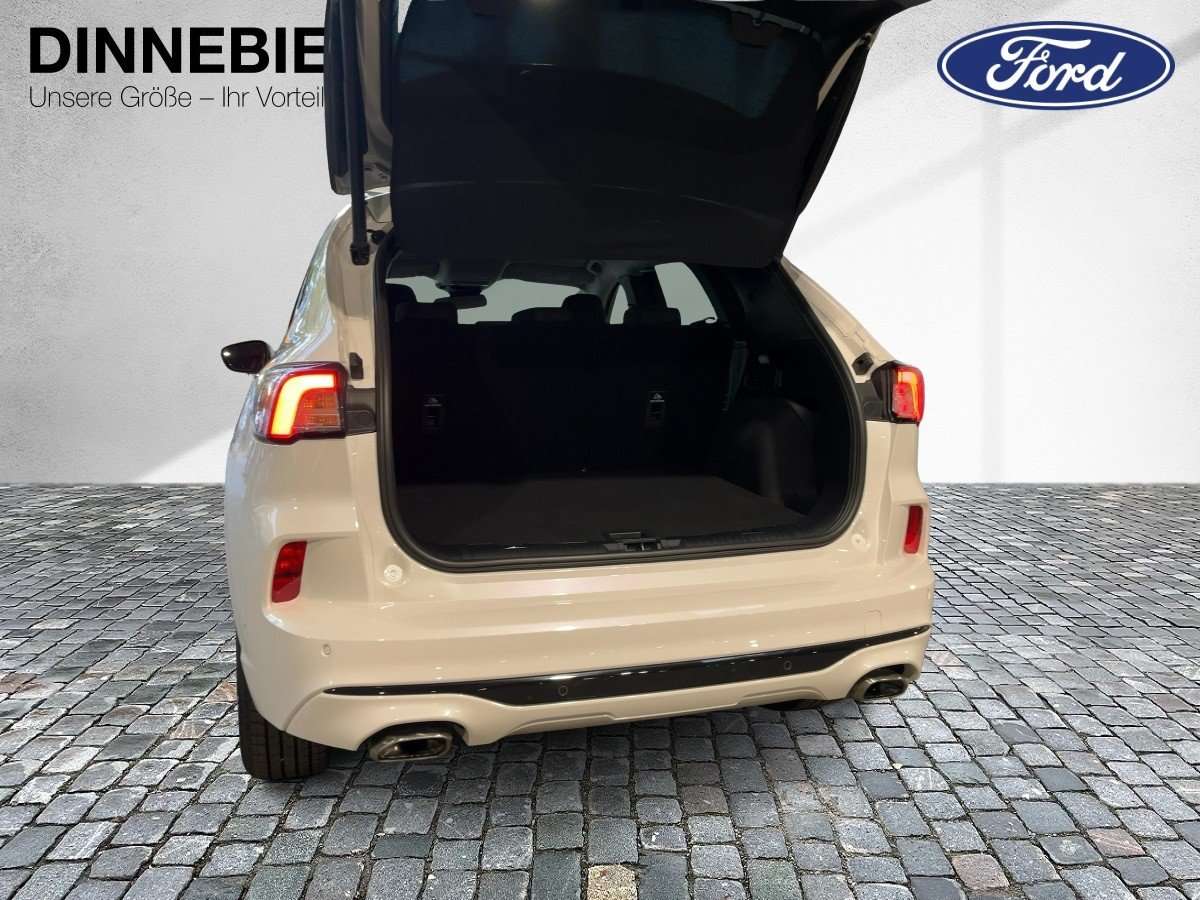 Fahrzeugbild eines Ford Kuga