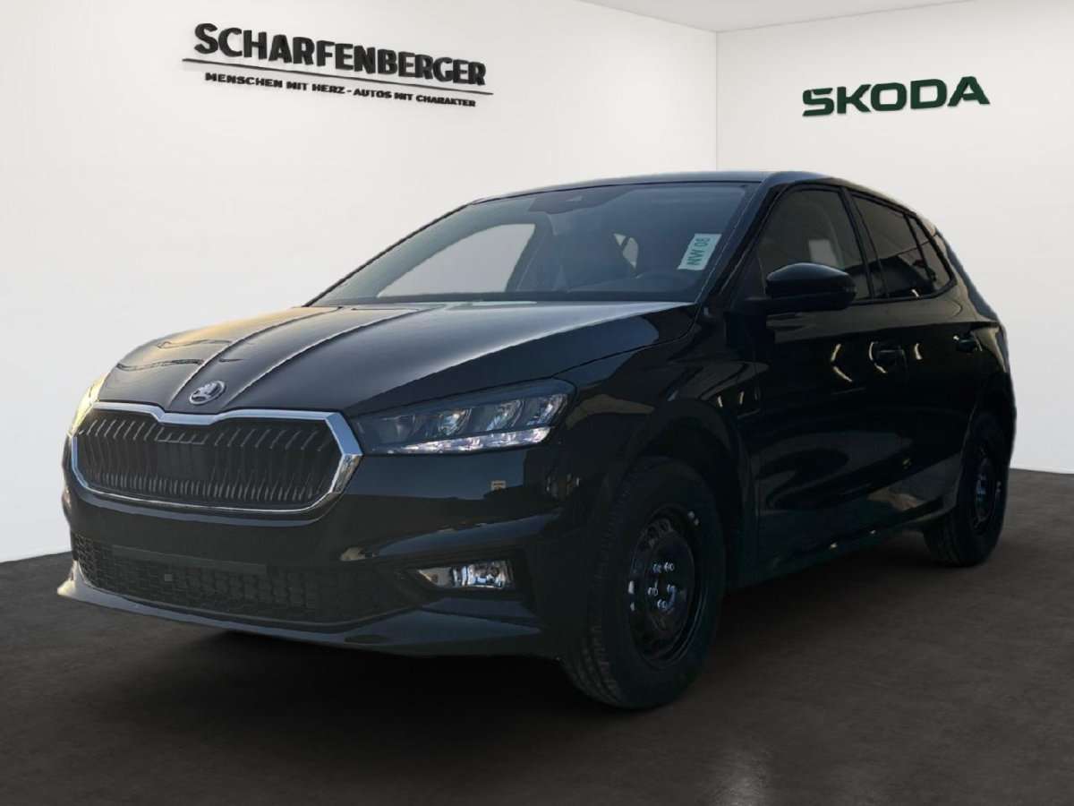 Fahrzeugbild eines Skoda Fabia