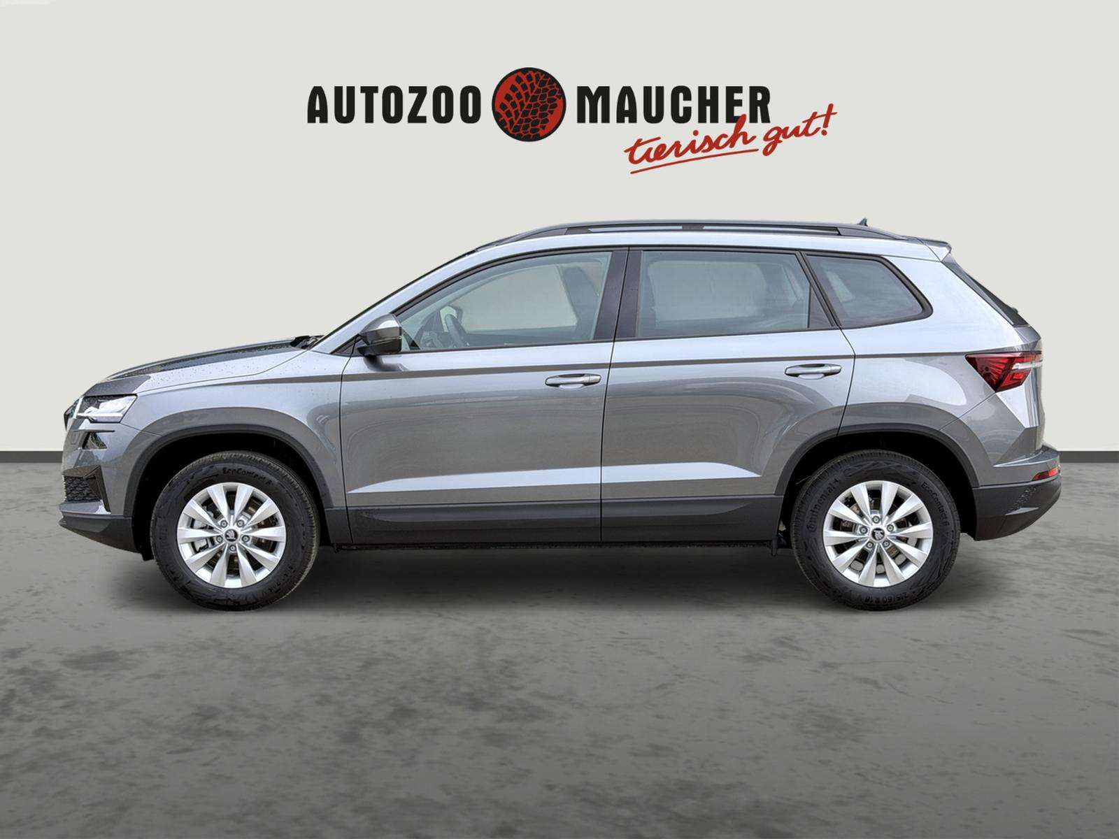 Fahrzeugbild eines Skoda Karoq