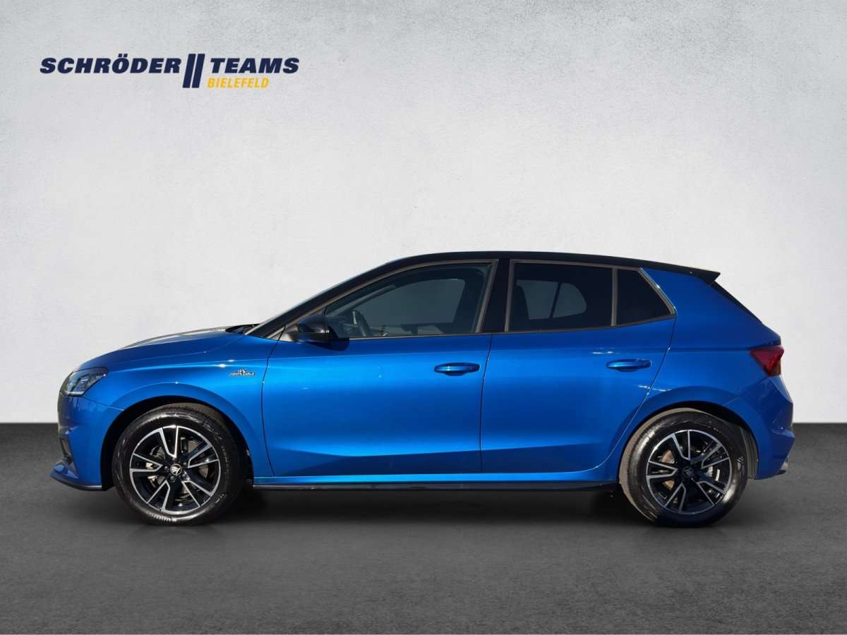 Fahrzeugbild eines Skoda Fabia