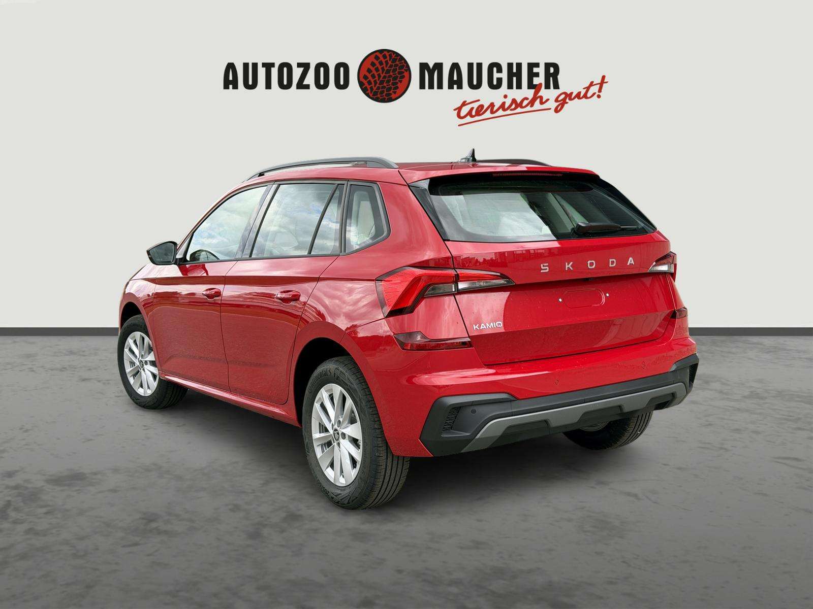 Fahrzeugbild eines Skoda Kamiq