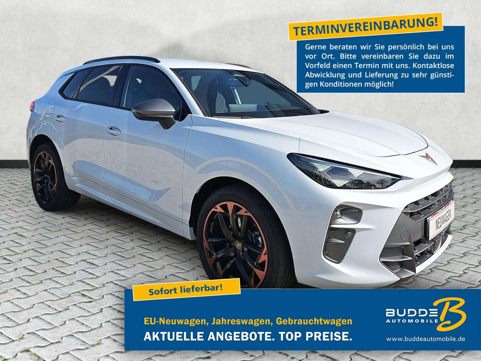 Fahrzeugbild eines CUPRA Terramar