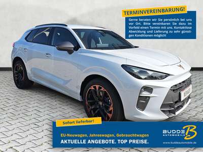 Bild CUPRA Terramar