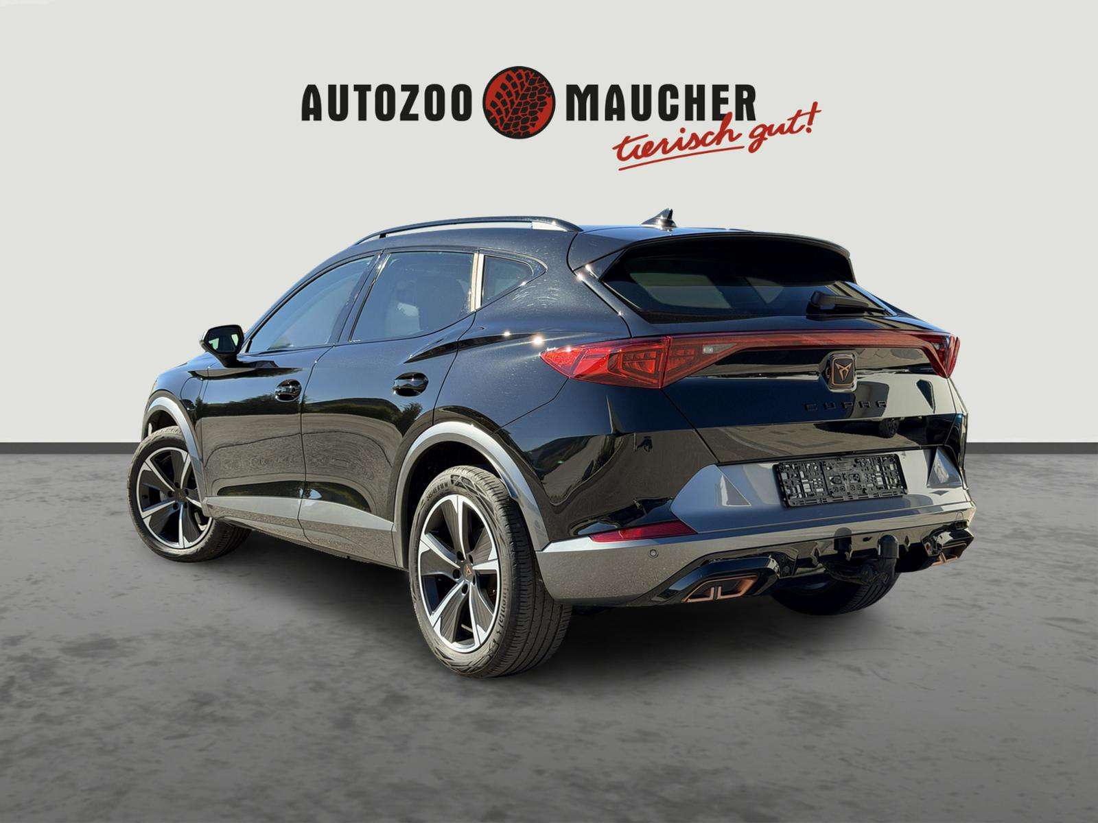 Fahrzeugbild eines CUPRA Formentor
