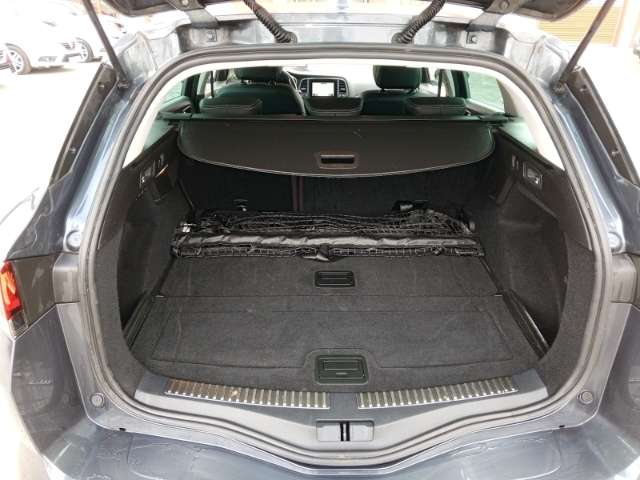 Fahrzeugbild eines Renault Mégane