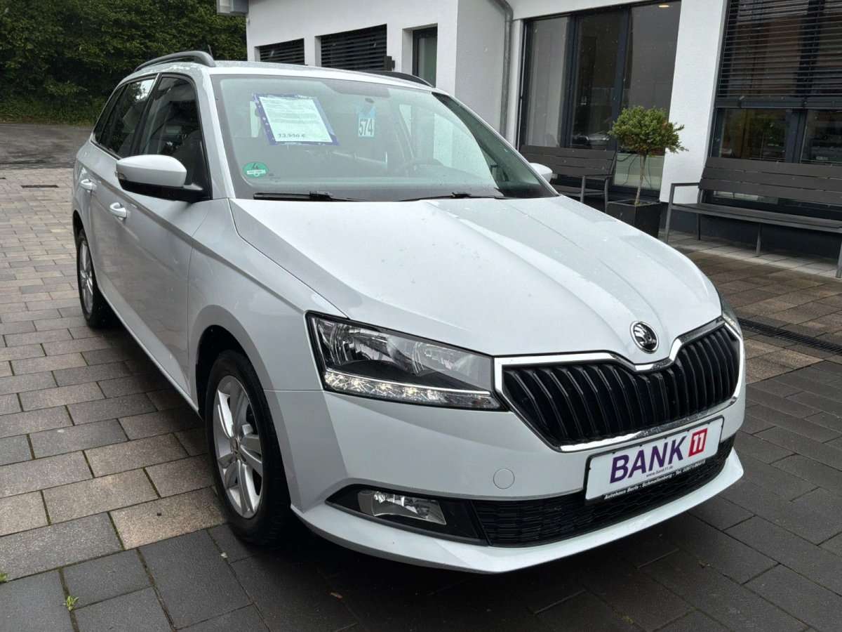 Fahrzeugbild eines Skoda Fabia