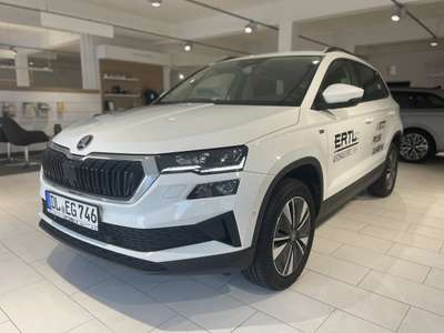Bild Skoda Karoq