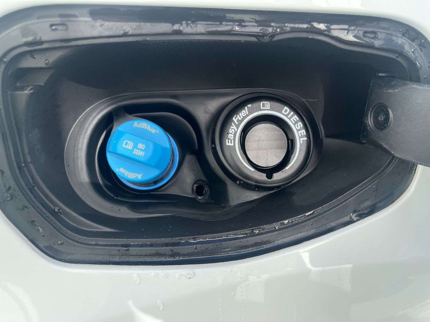 Fahrzeugbild eines Ford Transit Connect