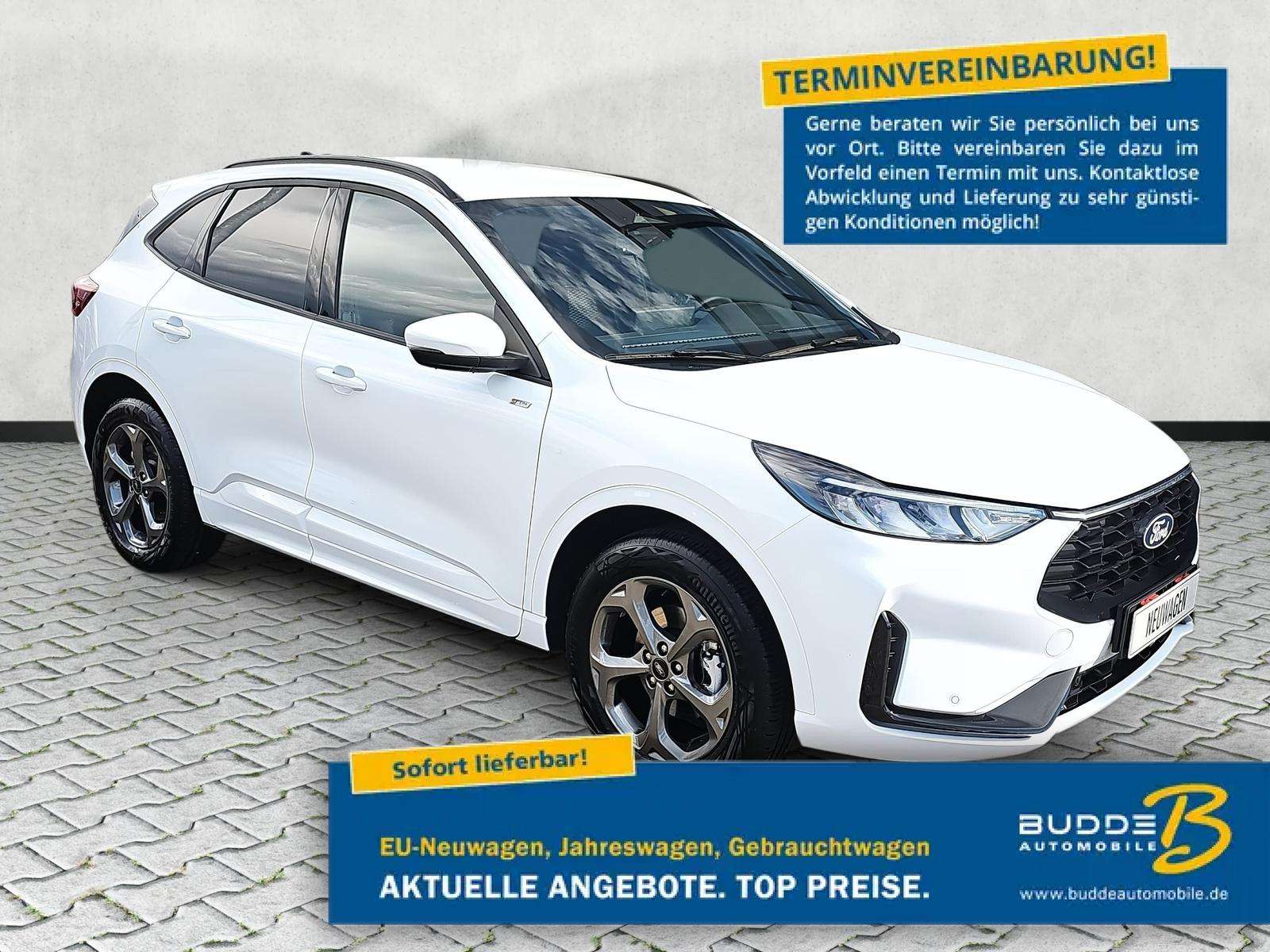 Fahrzeugbild eines Ford Kuga