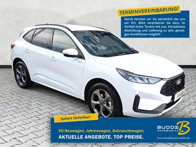 Bild Ford Kuga