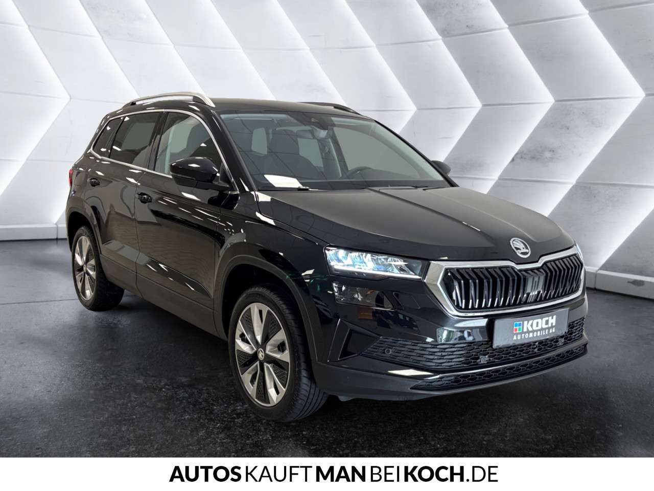 Fahrzeugbild eines Skoda Karoq