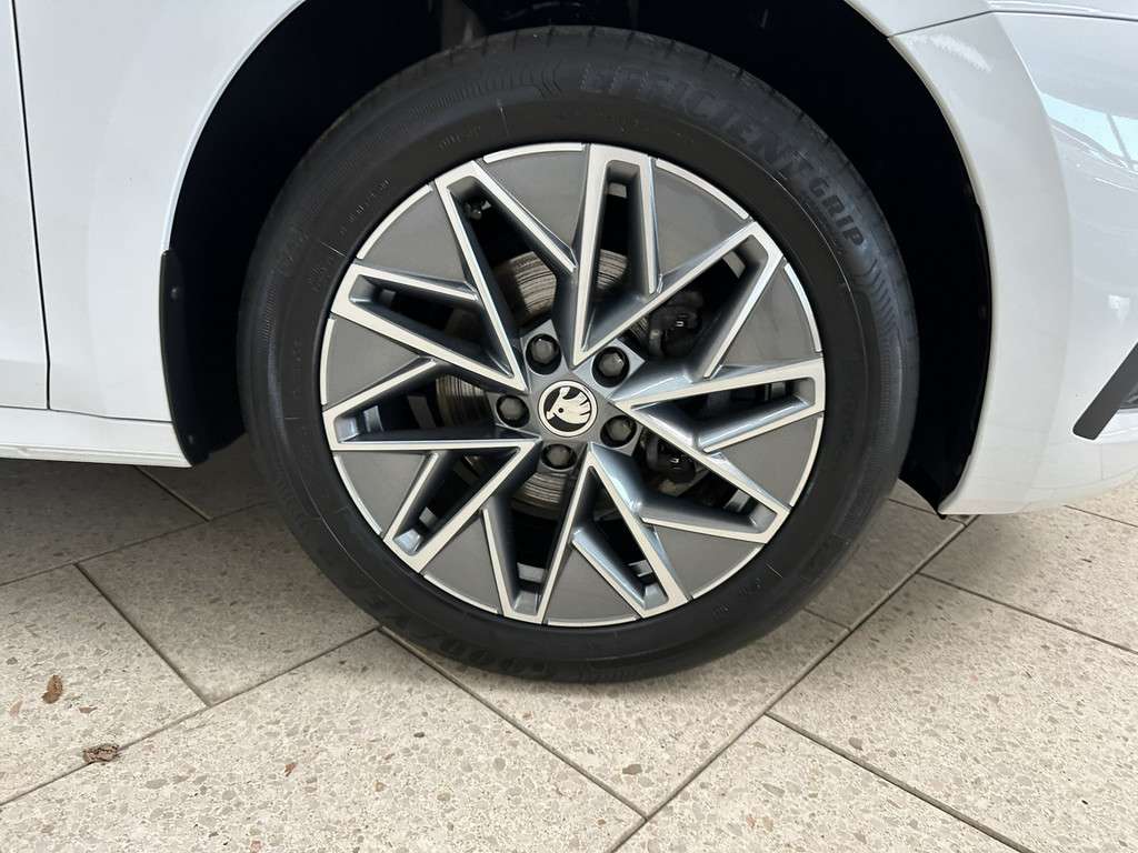 Fahrzeugbild eines Skoda Octavia