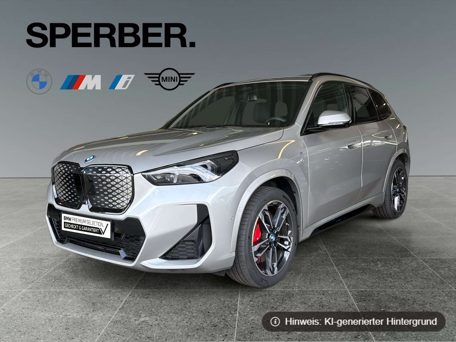 Fahrzeugbild eines BMW iX1