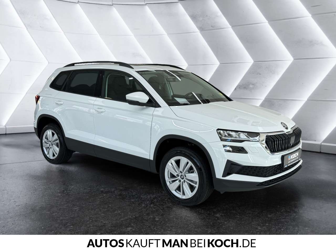 Fahrzeugbild eines Skoda Karoq