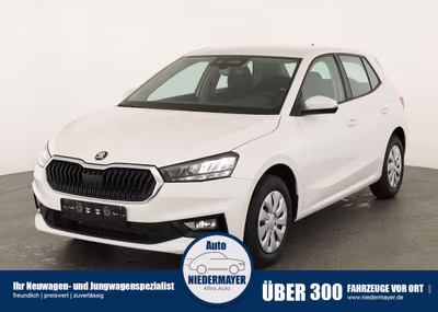 Bild Skoda Fabia