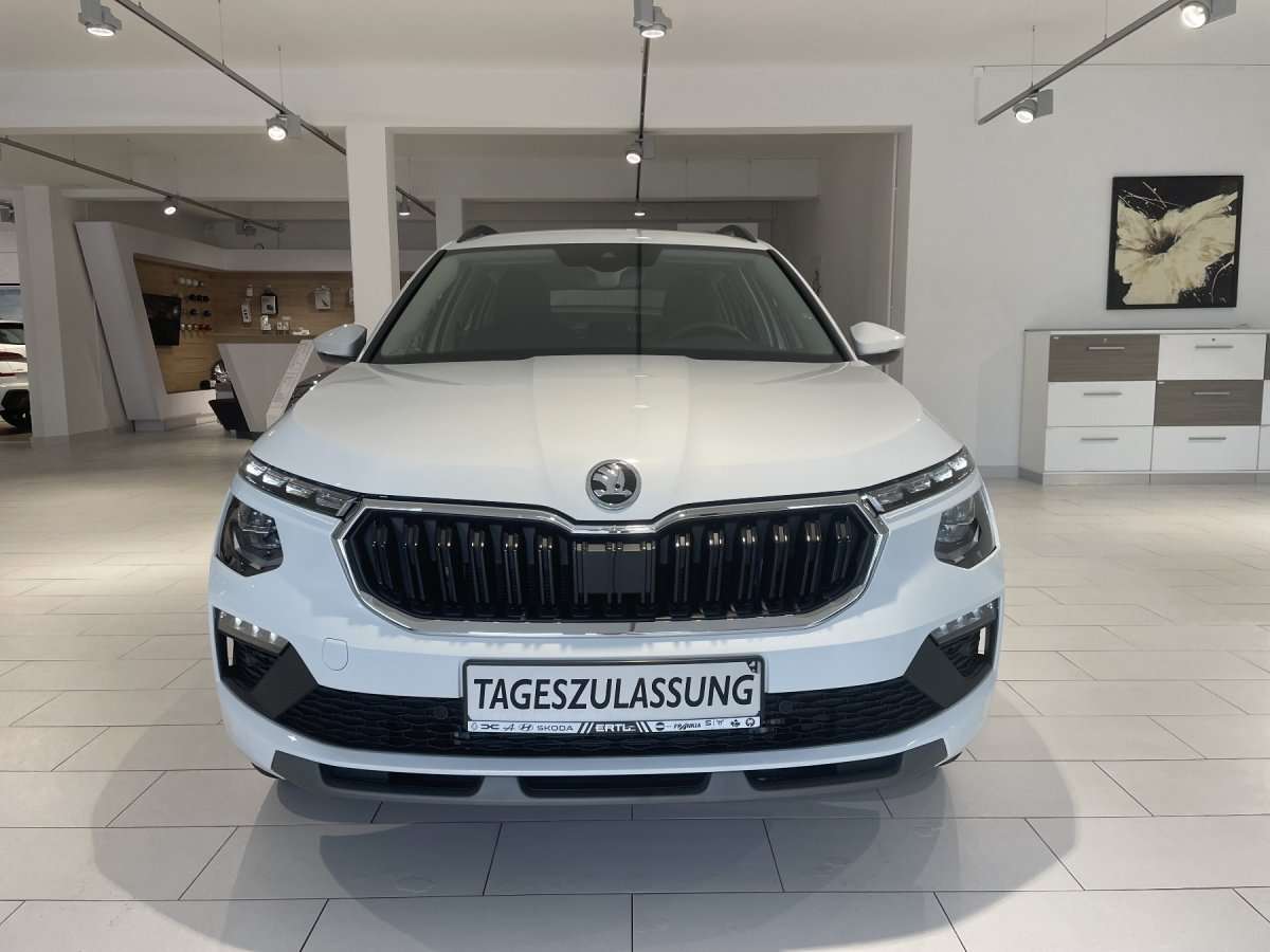 Fahrzeugbild eines Skoda Kamiq