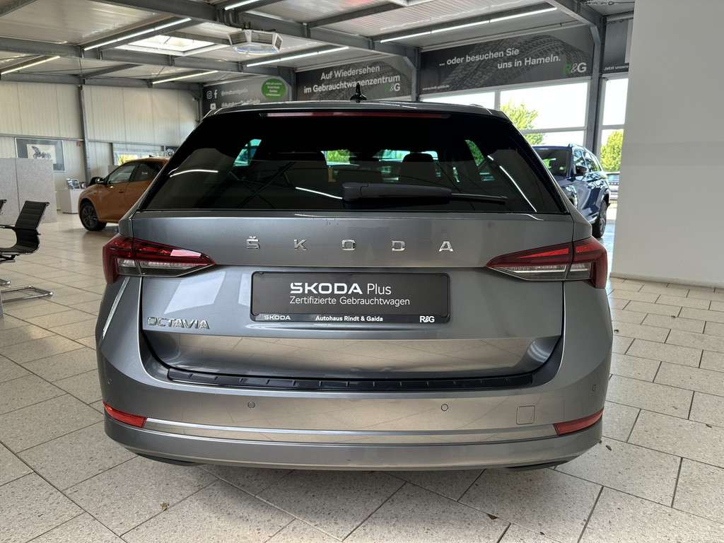 Fahrzeugbild eines Skoda Octavia