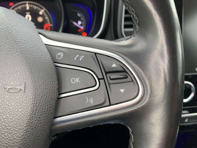 Fahrzeugbild eines Renault Koleos