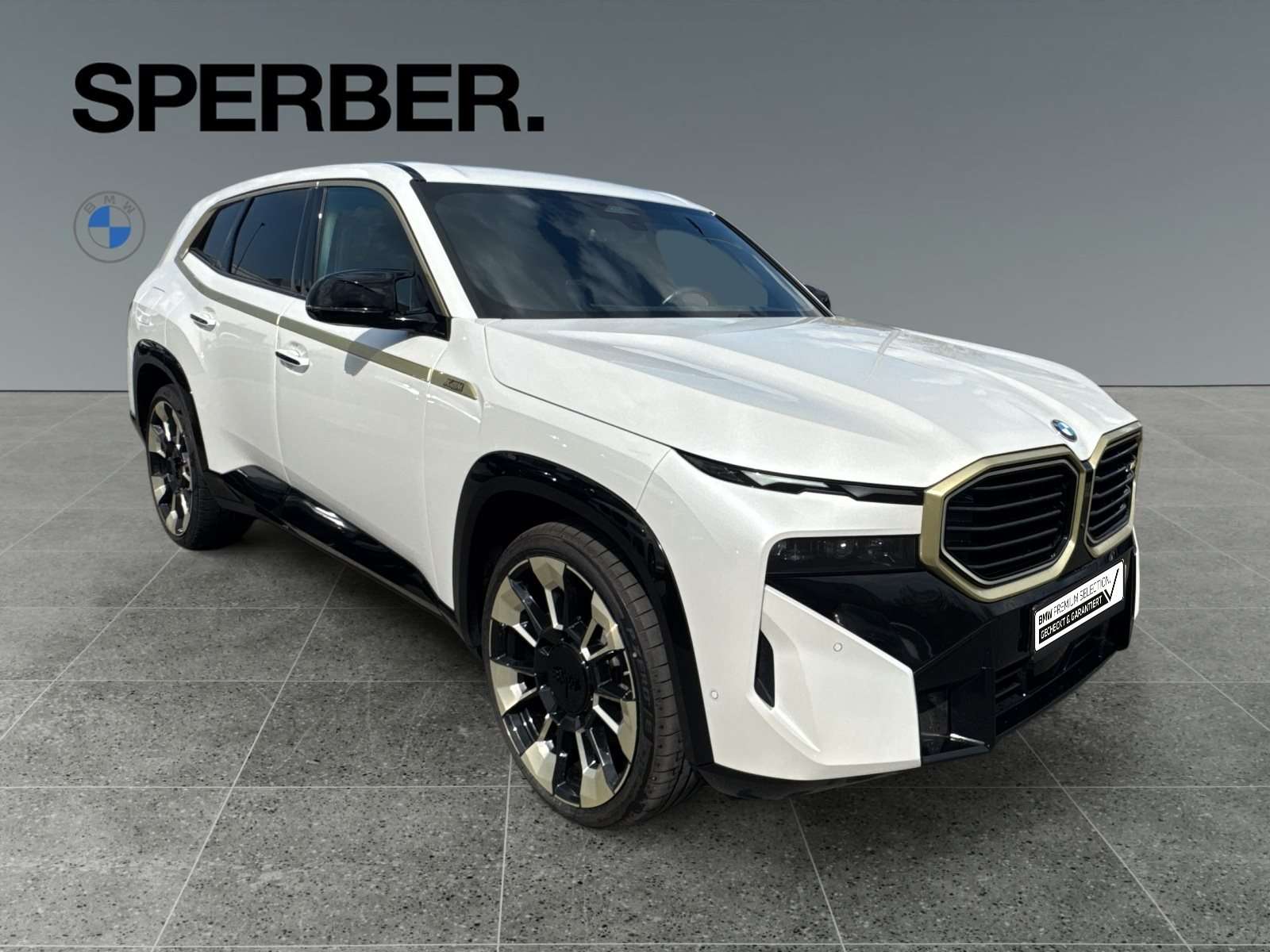 Fahrzeugbild eines BMW XM