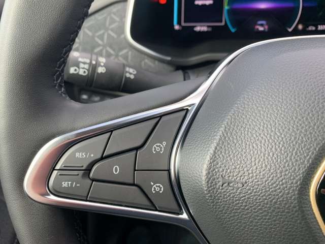 Fahrzeugbild eines Renault ZOE