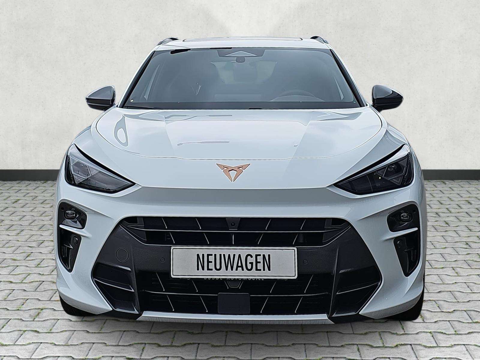 Fahrzeugbild eines CUPRA Terramar