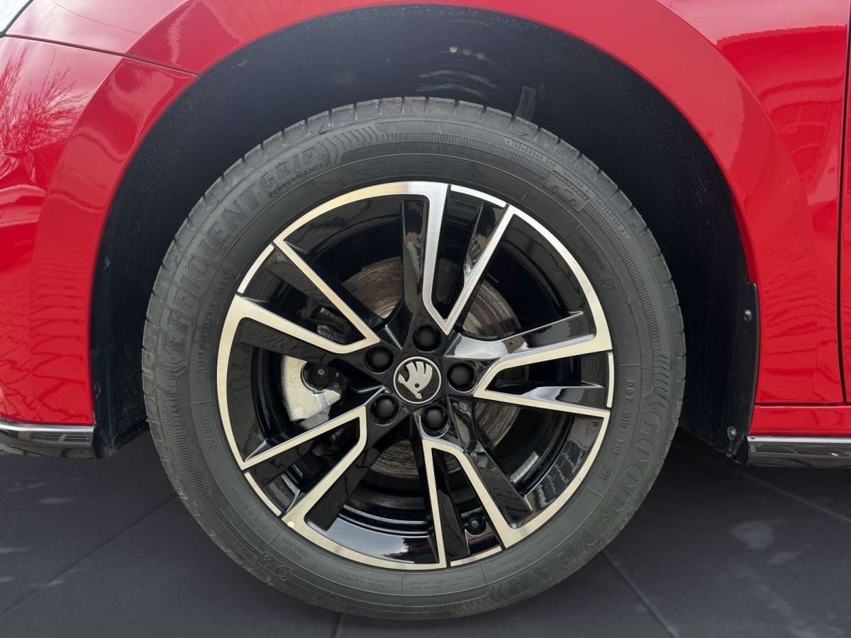 Fahrzeugbild eines Skoda Fabia