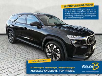 Bild Skoda Kodiaq