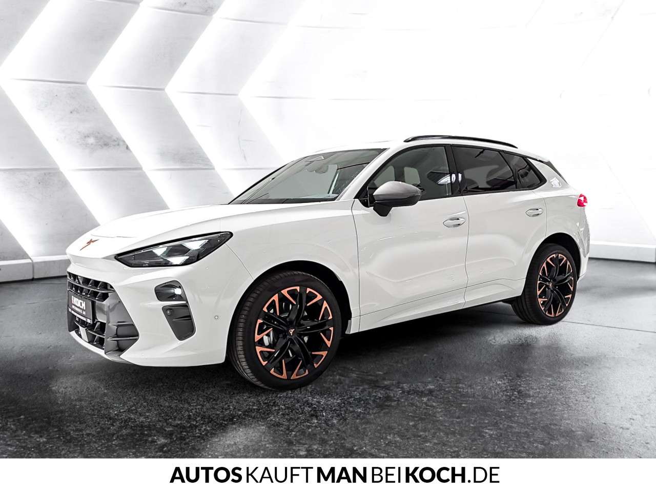 Fahrzeugbild eines CUPRA Terramar