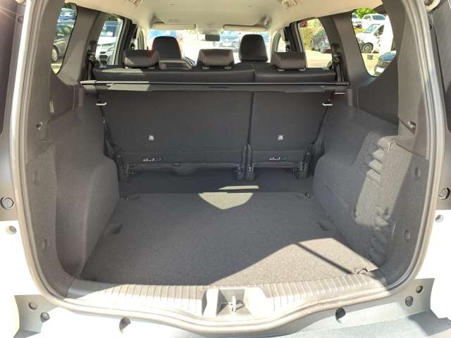Fahrzeugbild eines Dacia Jogger