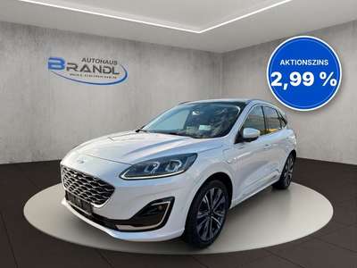 Bild Ford Kuga