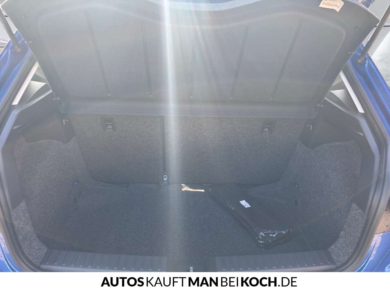 Fahrzeugbild eines SEAT Ibiza