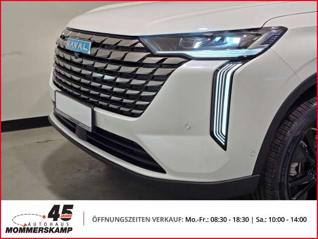 Fahrzeugbild eines GWM Haval H6