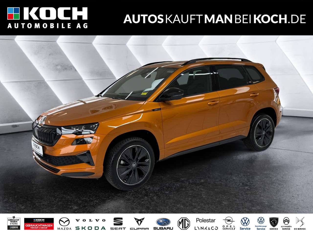 Fahrzeugbild eines Skoda Karoq