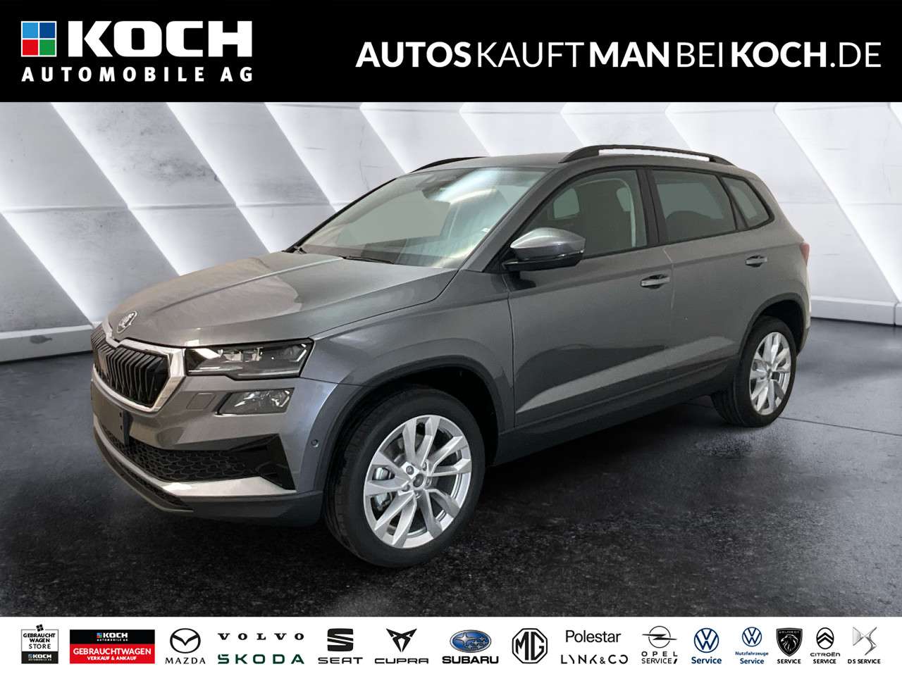 Fahrzeugbild eines Skoda Karoq