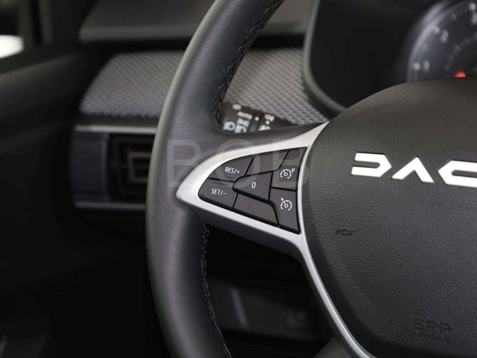 Fahrzeugbild eines Dacia Sandero