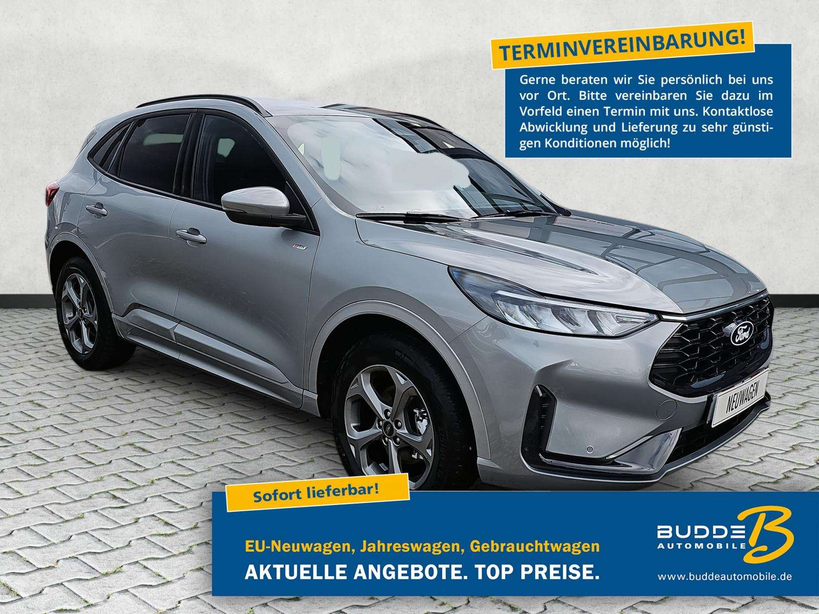 Fahrzeugbild eines Ford Kuga
