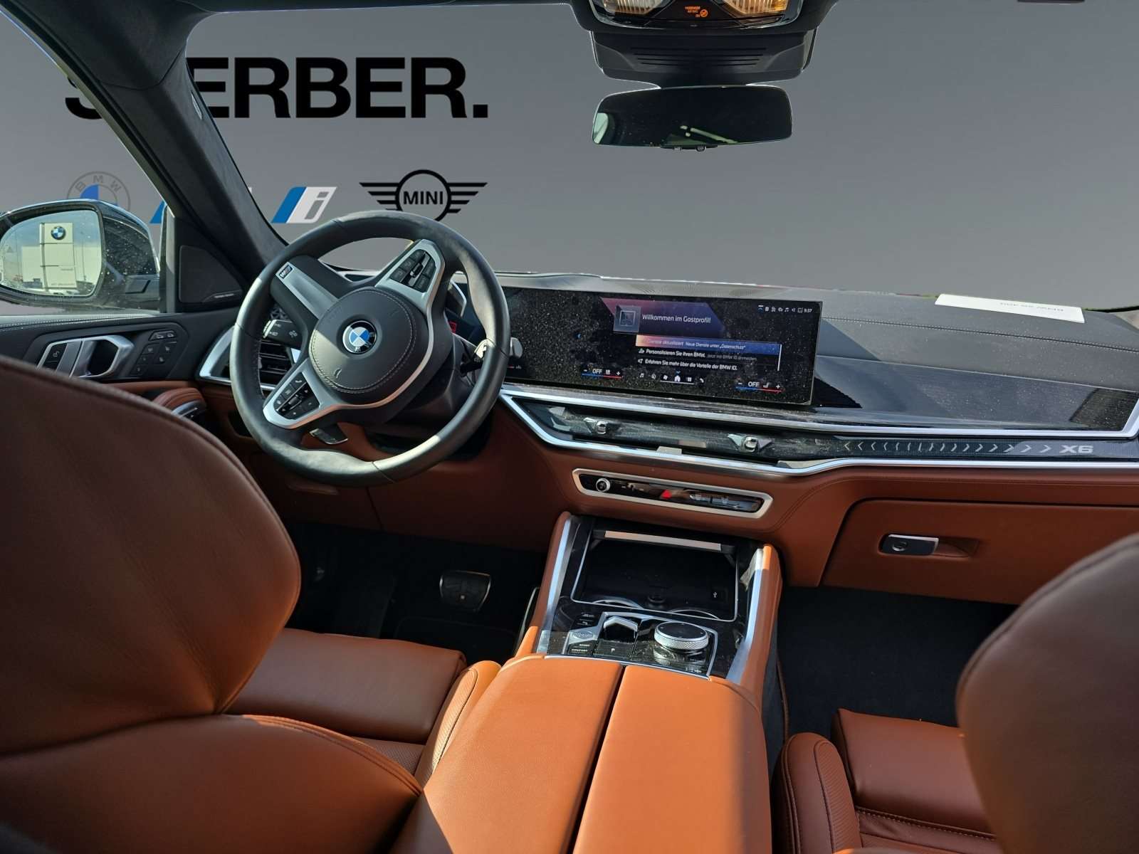 Fahrzeugbild eines BMW X6