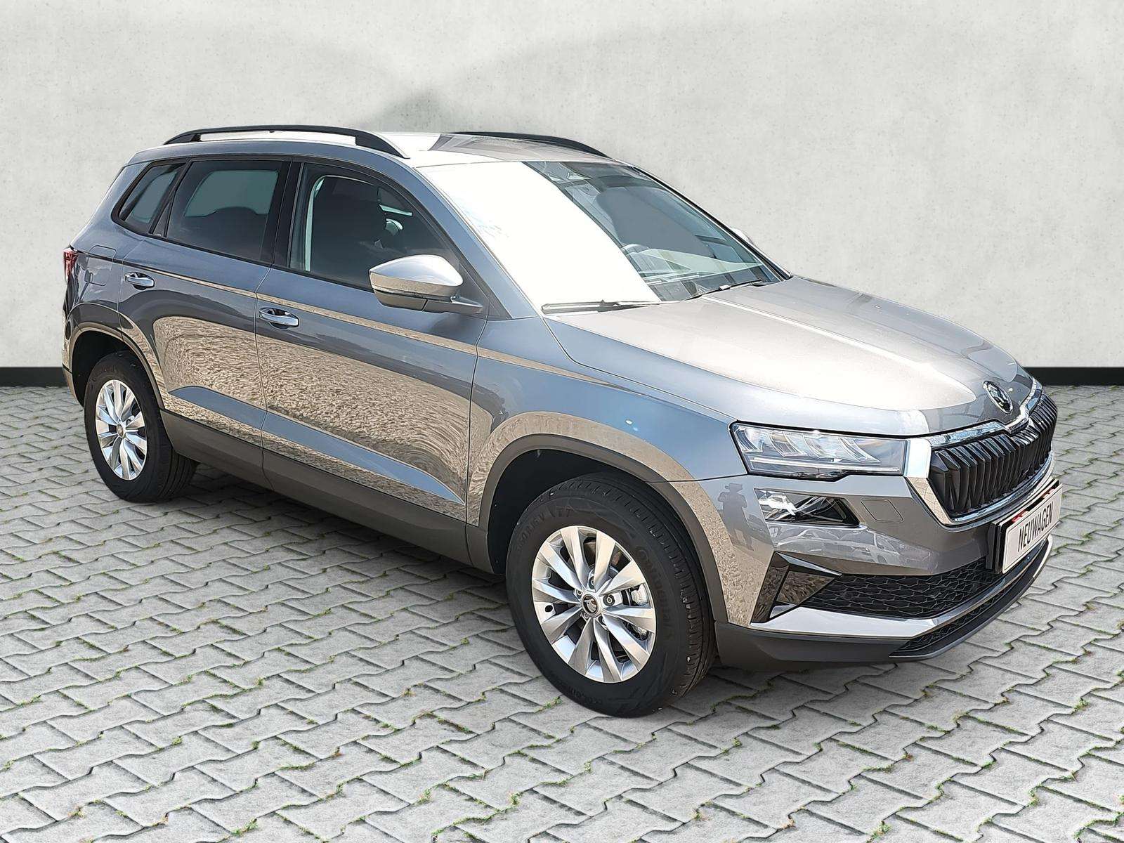 Fahrzeugbild eines Skoda Karoq