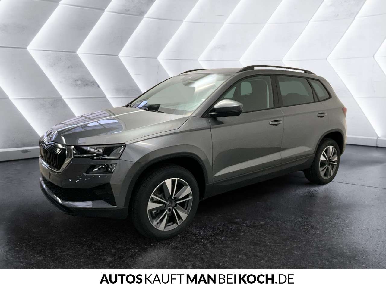 Fahrzeugbild eines Skoda Karoq