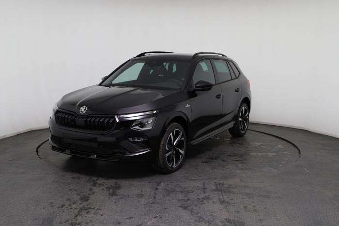 Fahrzeugbild eines Skoda Kamiq