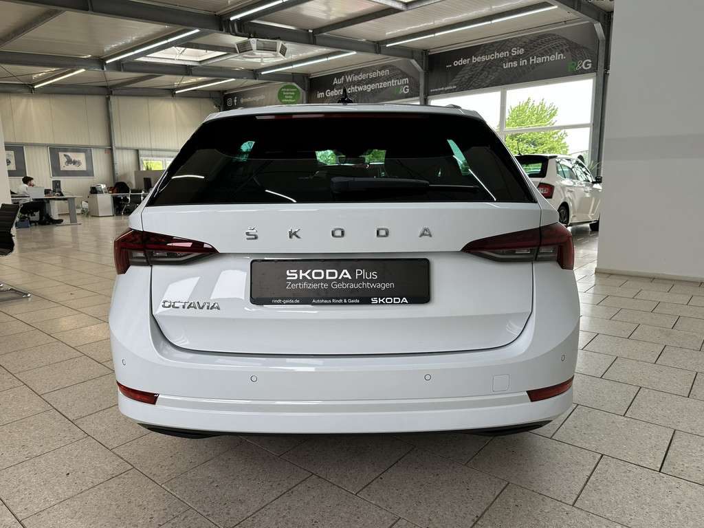 Fahrzeugbild eines Skoda Octavia