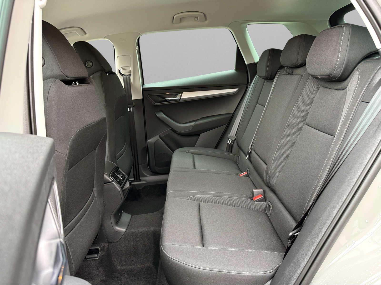 Fahrzeugbild eines Skoda Karoq