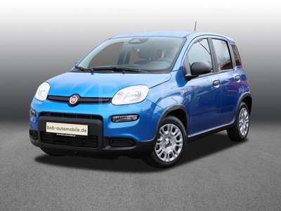 Bild Fiat Panda
