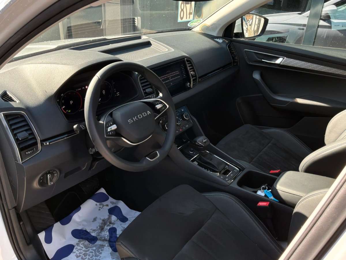 Fahrzeugbild eines Skoda Karoq