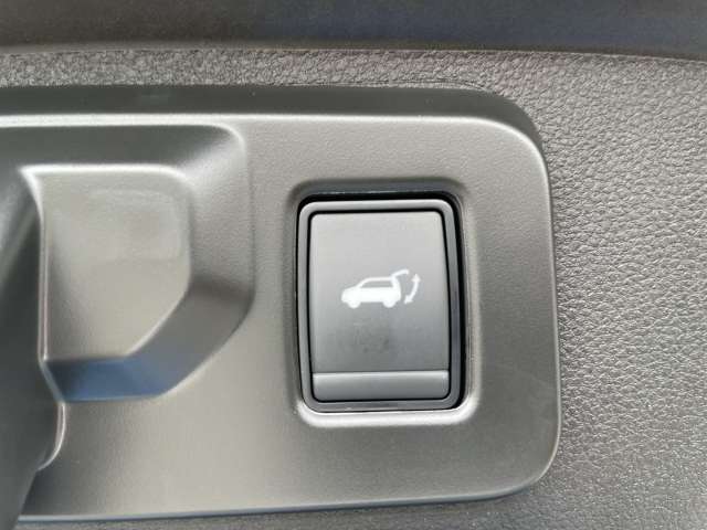 Fahrzeugbild eines Renault Rafale