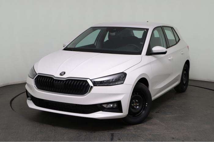 Fahrzeugbild eines Skoda Fabia