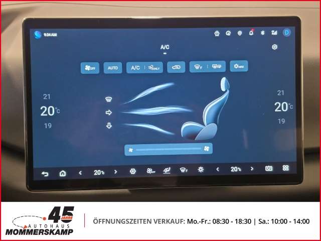 Fahrzeugbild eines BYD Atto 2